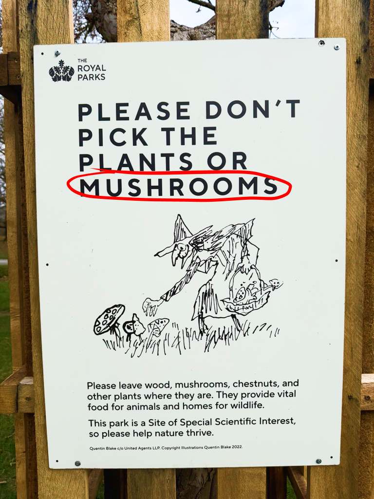 Capture words from photos in Wordprism