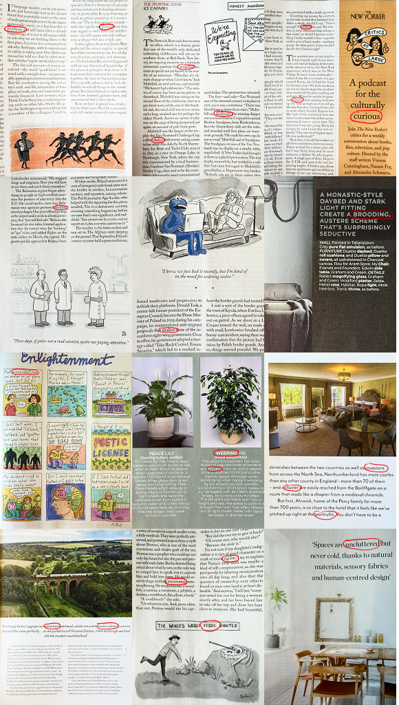 Capture words from photos in Wordprism